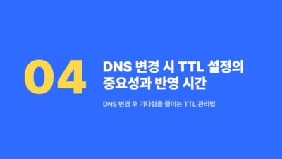 DB_HOST, DNS 변경, TTL, 블로그 관리, 서버 이전, 스크립트 검사, 워드프레스, 웹사이트 오류