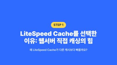 LiteSpeed Cache, 워드프레스 속도, 워드프레스 최적화, 웹서버 캐싱, 첫 페이지 응답 시간, 캐시 플러그인